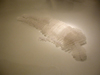 Exhausted Figure - 2006